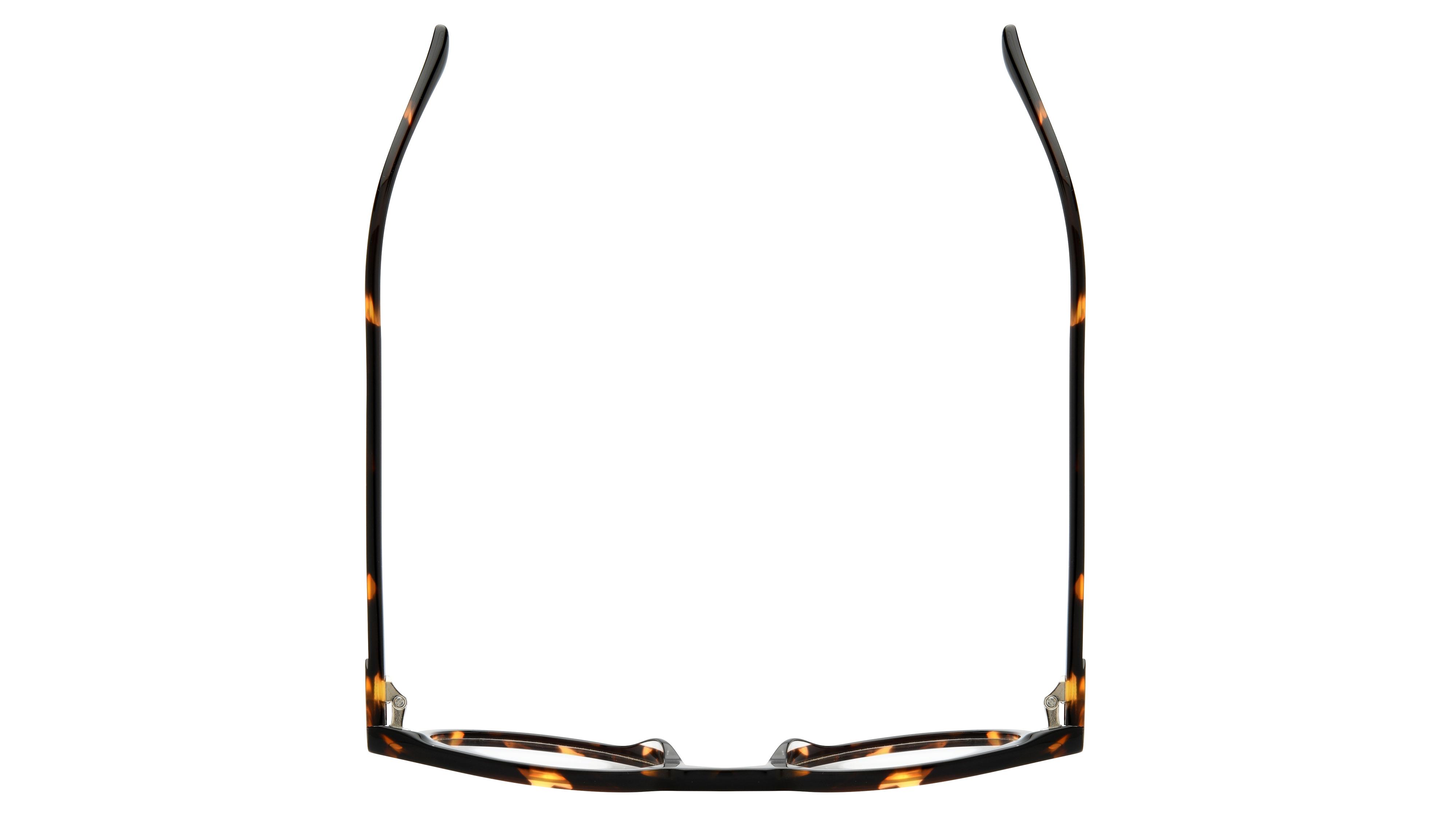 Lunettes de vue Signature Krys Homme Écaille Pantos Com2405 Dessus