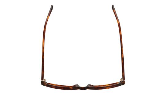 Lunettes de vue Sandro Femme Écaille Rectangle SD2086 Dessus