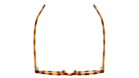 Lunettes de vue Alternance Femme Écaille Tonneau Alt26111 Dessus