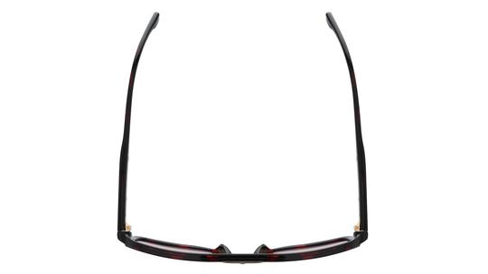 Lunettes de soleil Carrera Homme Écaille Aviateur Victory Dessus