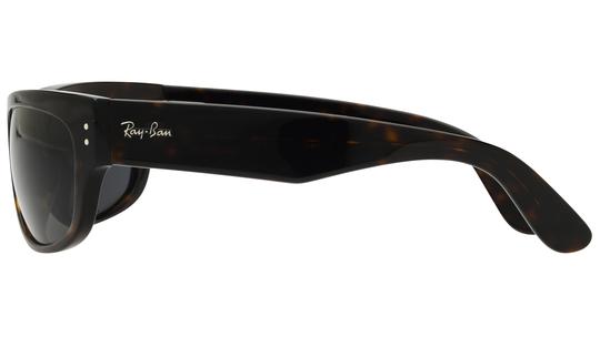 Lunettes de soleil Ray-Ban Mixte Écaille Ovale RB2289 Gauche