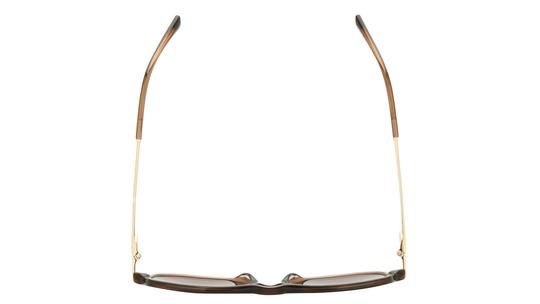 Lunettes de soleil Sandro Femme Marron Aviateur SD6096 Dessus