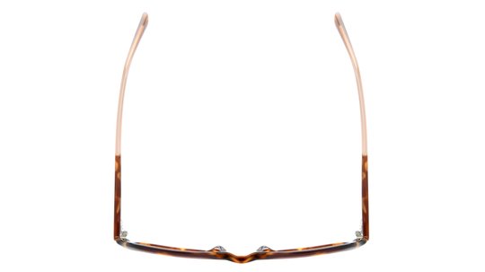 Lunettes de vue Sandro Femme Écaille Rectangle SD2055 Dessus