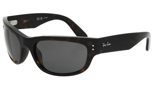 Lunettes de soleil Ray-Ban Mixte Écaille Ovale RB2289 Trois-Quart