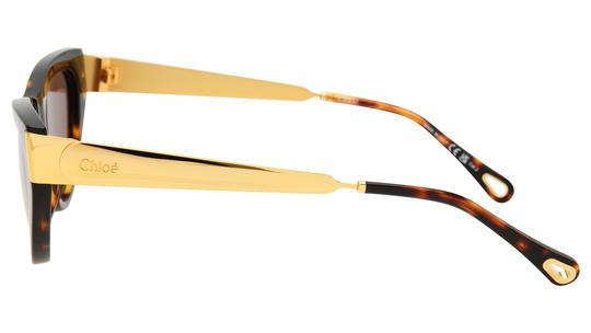 Lunettes de soleil Chloé Femme Écaille Papillon ch0350s Gauche
