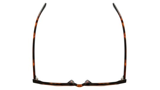 Lunettes de soleil Signature Krys Femme Écaille Papillon Skj2504-B Dessus