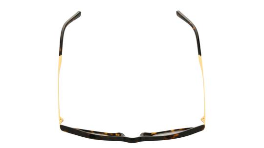 Lunettes de soleil Michael Kors Femme Écaille Ronde Mk2023 Dessus