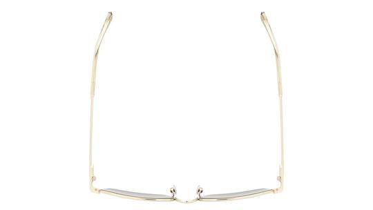 Lunettes de soleil Sandro Femme Argent Rectangle SD8024 Dessus