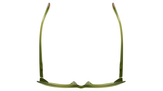 Lunettes de soleil Etnia Barcelona Femme Vert Ovale Ampat Dessus