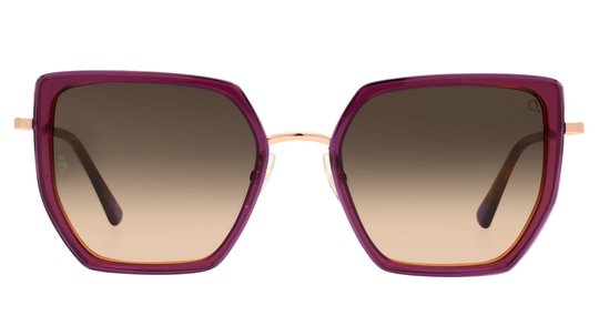 Lunettes de soleil Etnia Barcelona Femme Écaille Papillonnante Zafra Face