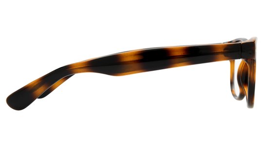 Lunettes de vue Alternance Mixte Écaille Wayfarer Alt25104 Droite