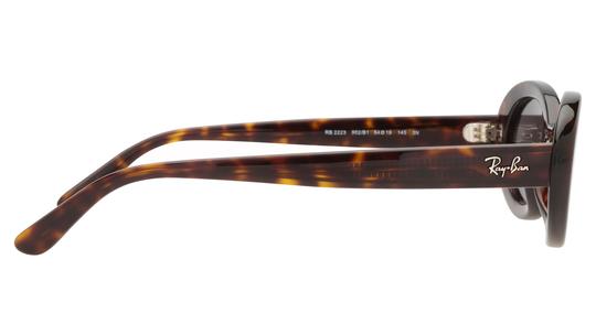 Lunettes de soleil Ray-Ban Femme Écaille Ovale RB2223 Droite