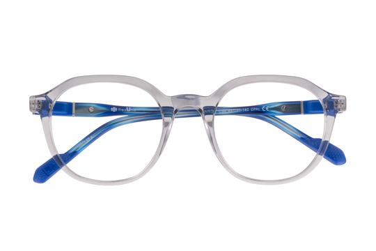 Lunettes de vue New York Yankees  Gris Pantos NYAR007C94 Face