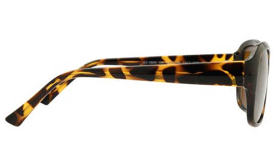 Lunettes de soleil Alternance Femme Écaille Rectangle alt18205 Droite