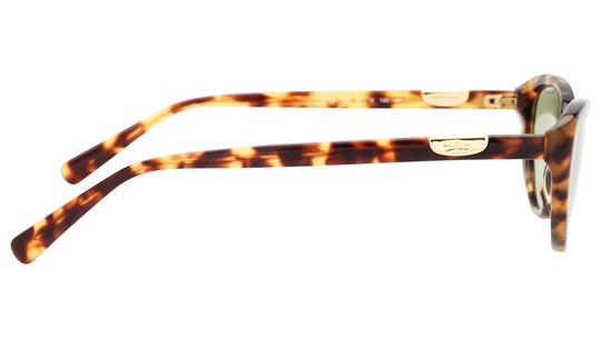 Lunettes de soleil Longchamp Femme Écaille Papillon Lo819S Droite