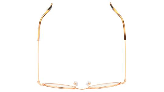 Lunettes de vue Ray-Ban Enfant Marron Ronde Ry1058 Dessus