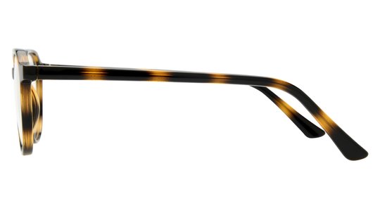 Lunettes de vue Alternance Mixte Écaille Ronde Alt25103 Gauche