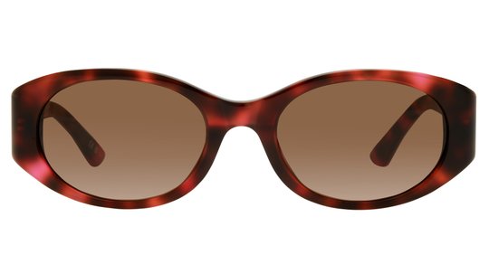 Lunettes de soleil Balenciaga Femme Écaille Ovale Bb0369Sk Face