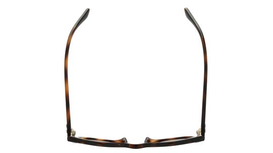 Lunettes de soleil Ray-Ban Mixte Écaille Pantos Rj9064S Dessus