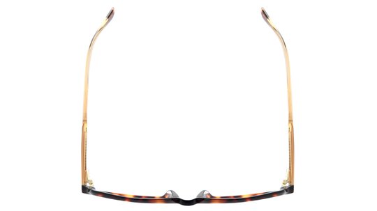 Lunettes de vue Sandro Femme Écaille Rectangle Sd2049 Dessus