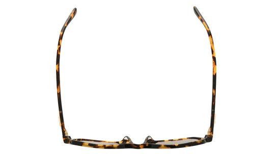 Lunettes de soleil Michael Kors Femme Écaille Carré Mk2196U Dessus