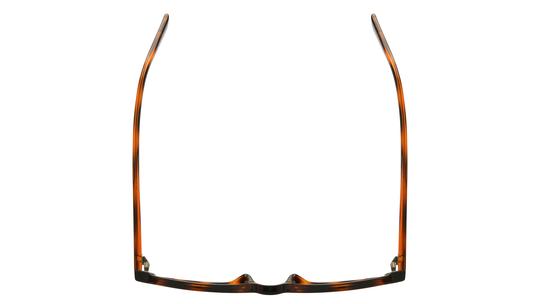 Lunettes de soleil Alternance Femme Écaille Ovale Alt26206 Dessus