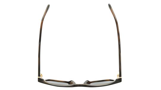 Lunettes de soleil Signature Krys Femme Marron Papillon skj2612-f Dessus