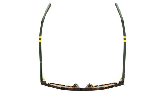 Lunettes de soleil Polo Ralph Lauren Homme Écaille Carré PH4235U Dessus