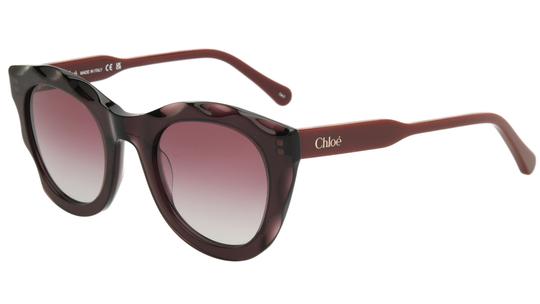 Lunettes de soleil Chloé Femme Violet Ronde CH0295S Trois-Quart