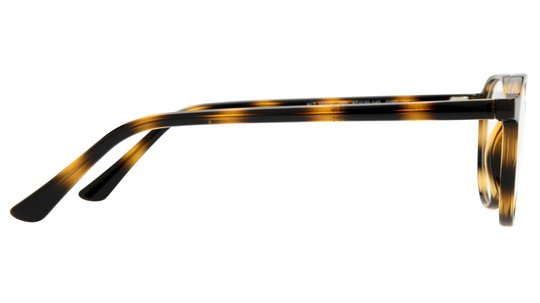 Lunettes de vue Alternance Mixte Écaille Ronde Alt25103 Droite