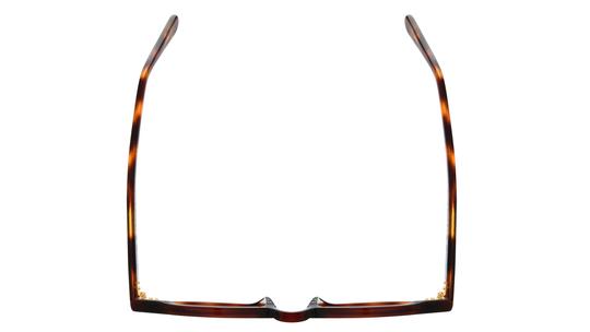Lunettes de vue Le Coq Sportif Homme Écaille Pantos Lcs2505 Dessus