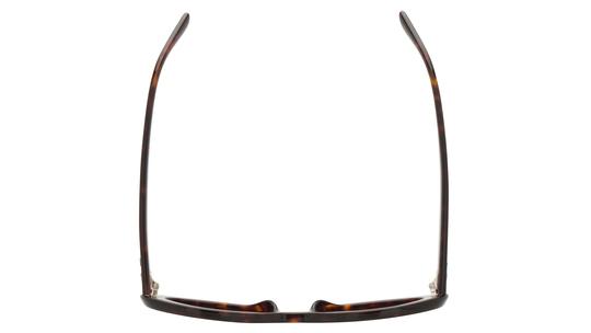 Lunettes de soleil Ray-Ban Femme Écaille Ovale RB2223 Dessus