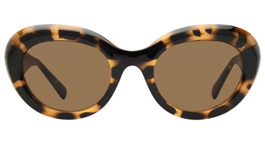 Lunettes de soleil Alternance Femme Écaille Ovale alt25217 Face