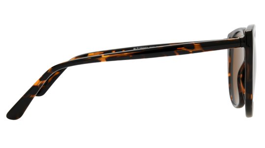 Lunettes de soleil Alternance Femme Écaille Papillon Alt25201 Droite