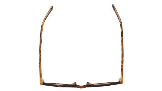 Lunettes de soleil Alternance Enfant Écaille Pantos Alt25220 Dessus