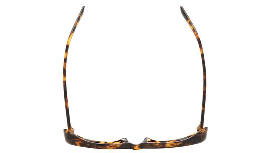 Lunettes de soleil Miu Miu Femme Écaille Ovale MU Dessus