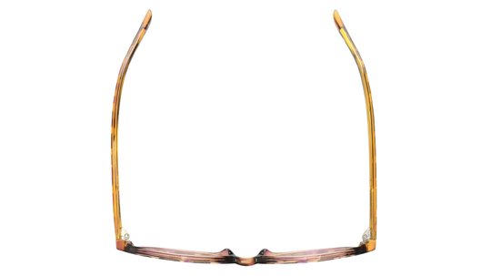 Lunettes de vue Alternance Femme Écaille Ronde Alt22105 Dessus