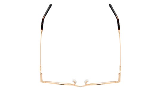 Lunettes de vue Zadig & Voltaire Femme Or Ovale Vzv394 Dessus