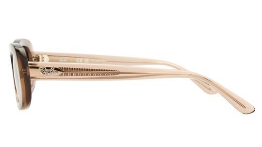 Lunettes de soleil Ray-Ban Femme Marron Ovale RB2221 Gauche