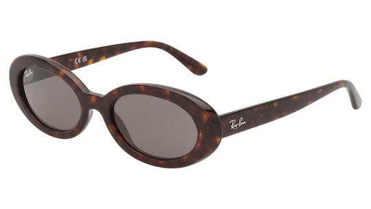 Lunettes de soleil Ray-Ban Femme Écaille Ovale RB2223 Trois-Quart