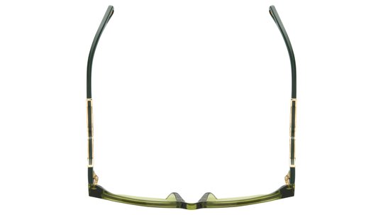 Lunettes de soleil Zadig & Voltaire Femme Vert Carré Szv418 Dessus