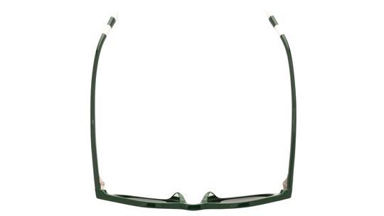 Lunettes de soleil Polo Ralph Lauren Homme Gris Ronde ph4241u Dessus