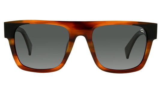 Lunettes de soleil Etnia Barcelona Homme Écaille Carré Sunset Face