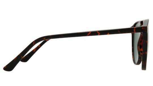 Lunettes de soleil Alternance Mixte Écaille Aviateur Alt25207 Droite