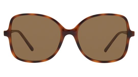 Lunettes de soleil Alternance Femme Écaille Rectangle alt25215 Face