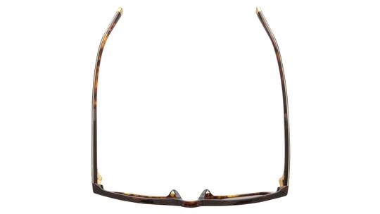 Lunettes de soleil Polo Ralph Lauren Homme Écaille Carré ph4242u Dessus