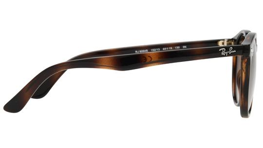 Lunettes de soleil Ray-Ban Mixte Écaille Pantos Rj9064S Droite