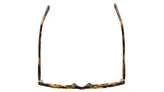 Lunettes de vue Sandro Femme Écaille Rectangle SD2066 Dessus