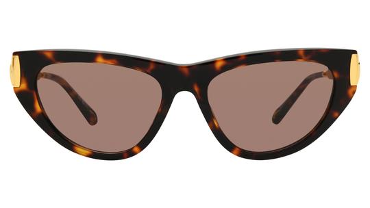 Lunettes de soleil Chloé Femme Écaille Papillon ch0350s Face