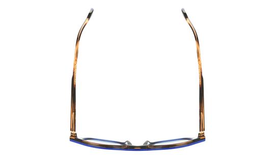 Lunettes de vue Etnia Barcelona Homme Bleu Pantos LONG Dessus